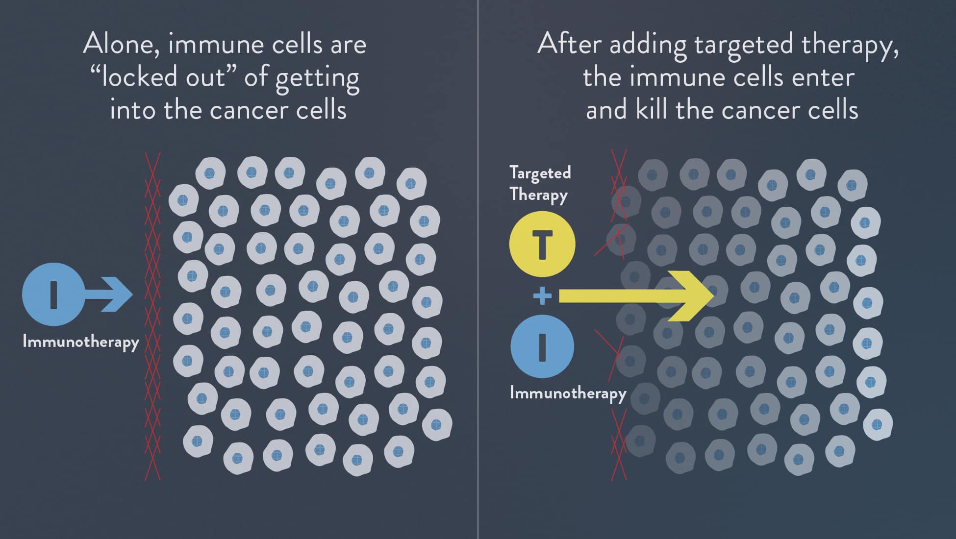 Combining immunotherapy and targeted therapy allows immune cells to kill cancer cells