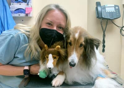 How Osteosarcoma Affects Dogs: What Pet Parents Need to Know