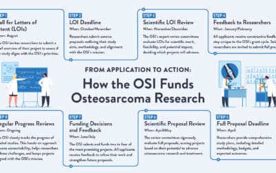 What Happens After I Donate to the OSI?