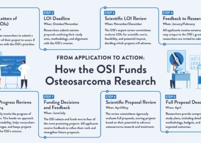 What Happens After I Donate to the OSI?