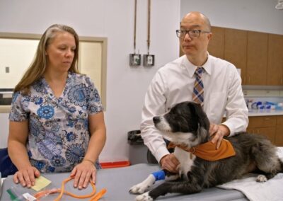 Is Comparative Oncology the Key to a Cure?