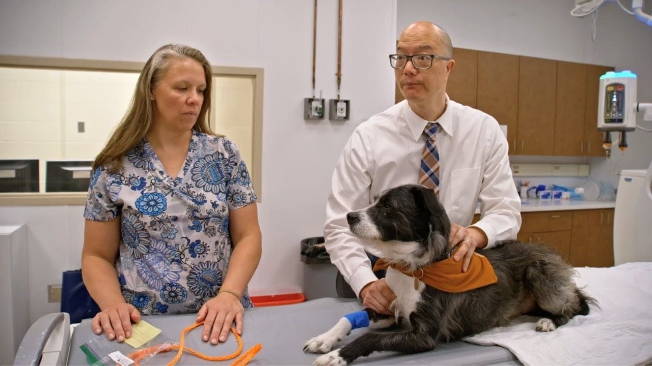 Dr. Timothy Fan at table with vet assistant and dog on exam table
