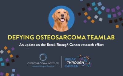Could Dogs Help Find New Treatments for Osteosarcoma?