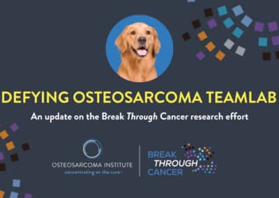 Could Dogs Help Find New Treatments for Osteosarcoma?